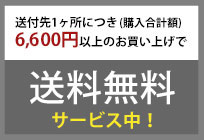 送料無料